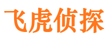 饶河市私人调查